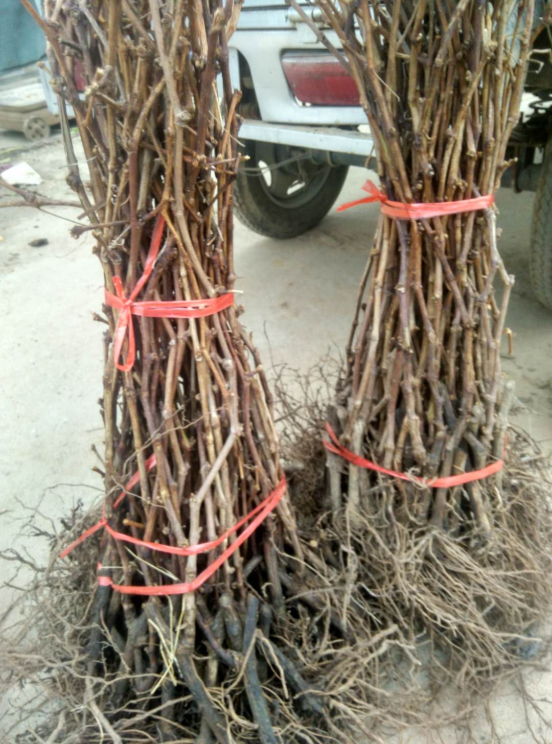 10-160CMѹјСƷNȫ