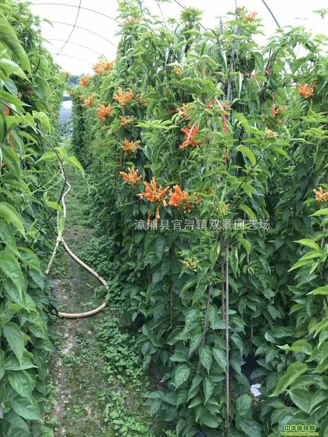 ̻̻r񡢸̻l(f)30-250ָ