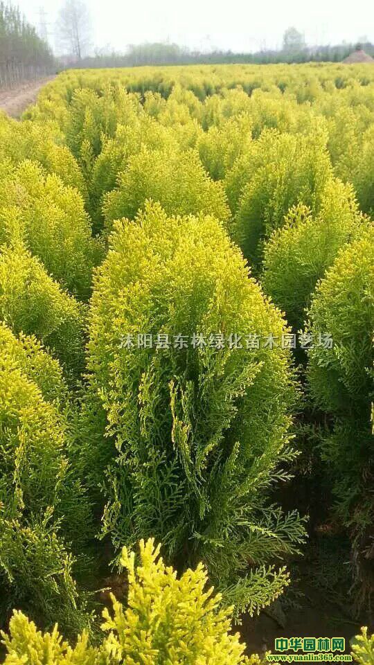 ˮϞlì򡢺ͩ~÷ʯ