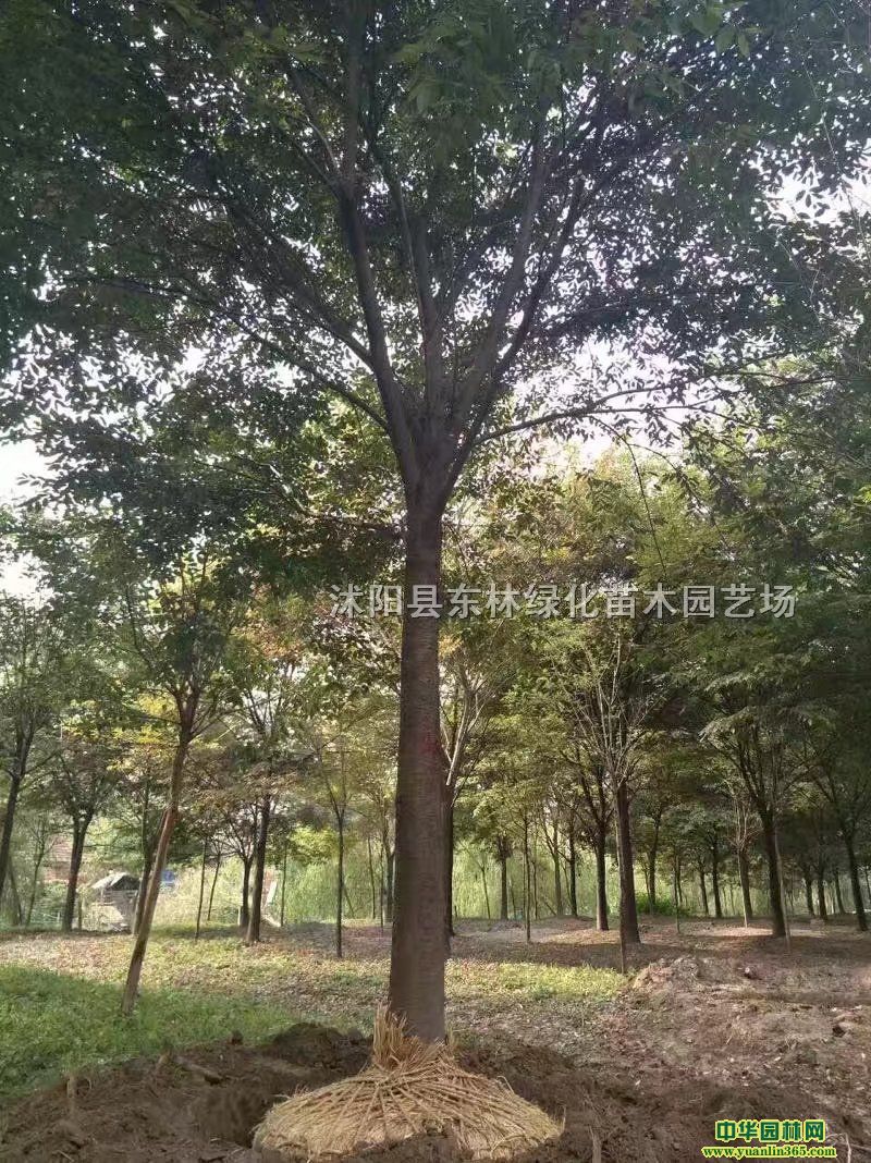 tΘ䡢ߗUŮؑʯ񡢙ѻġGޱz