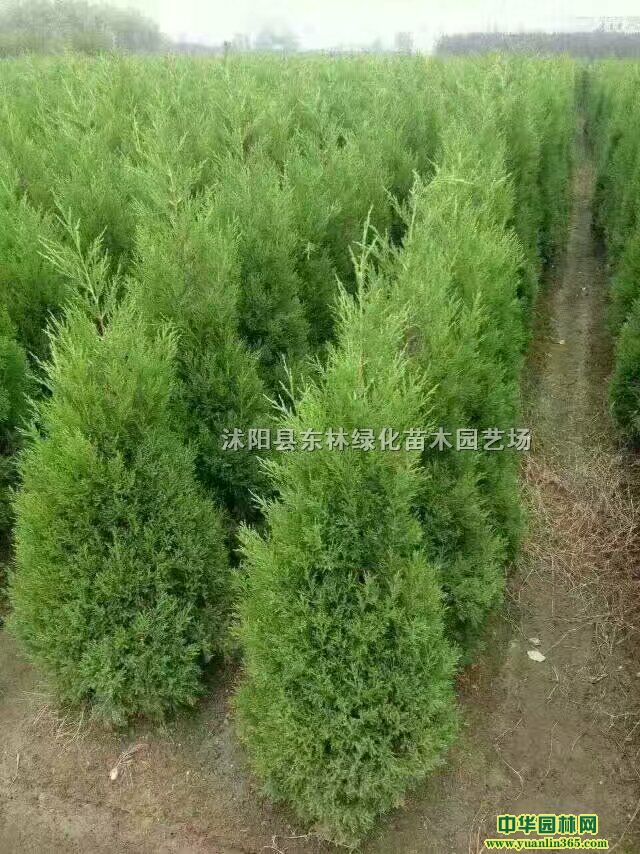 ء϶㡢ľϺġõľȡt~~Ůؑ