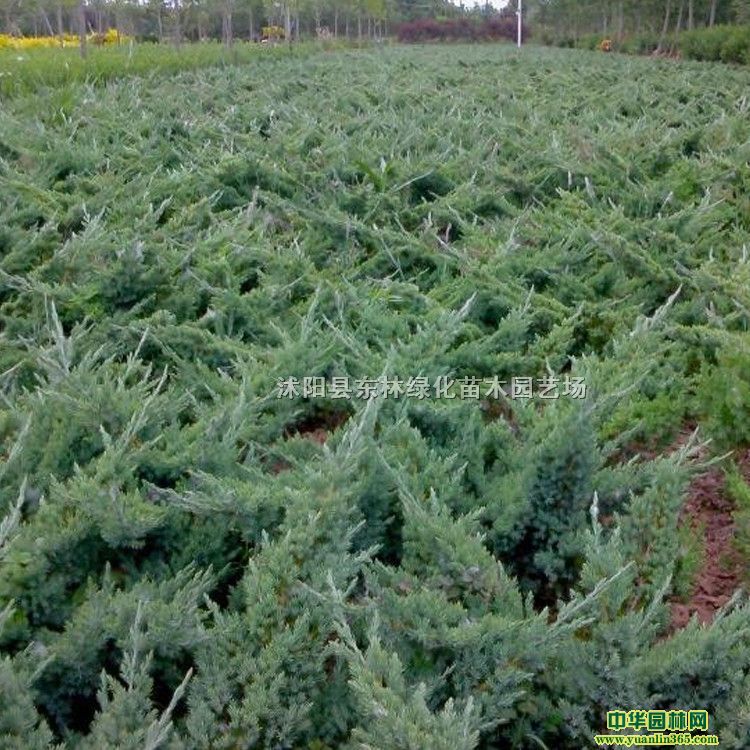 ذءɳذءuءɡġءء̰