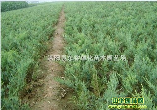 ɳذءɡ.ء١򡢶С~Ůؑ