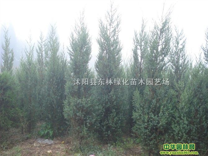 u؃r(ji)񱱾u؈DƬuخa(chn)رuԻ