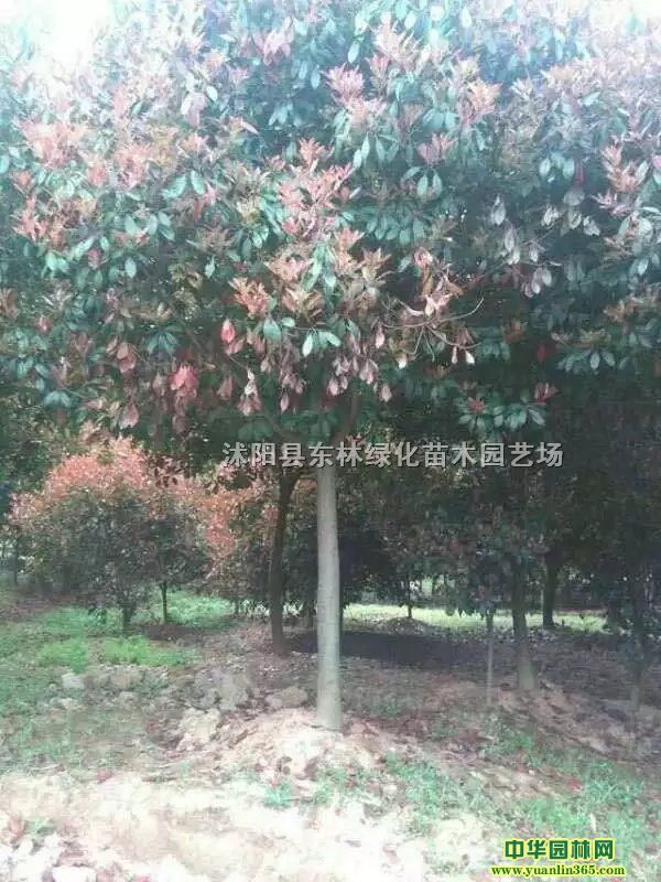 ߗUt~ʯ骃rߗUt~ʯ骮aظߗUt~ʯ骾Gľ