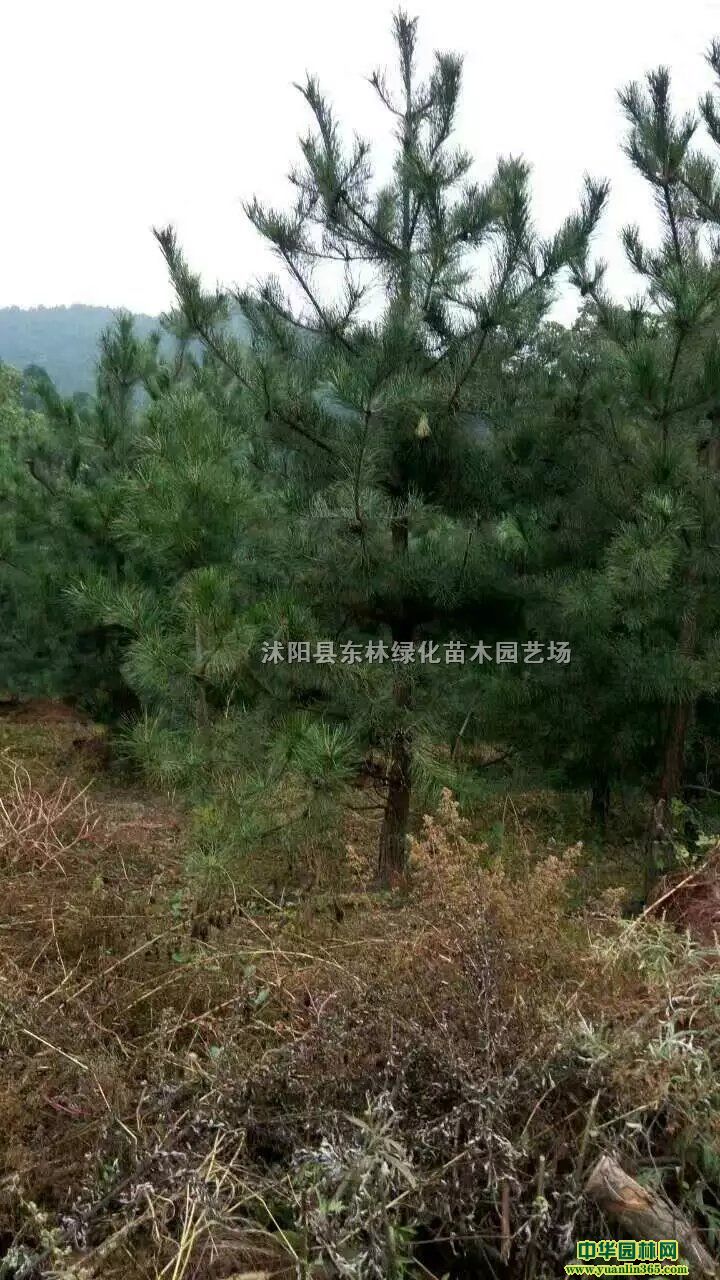 ɃrɈDƬɮaغɾGľԻ