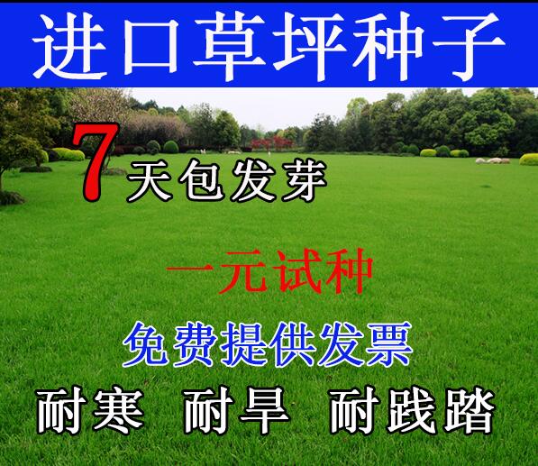 ļ๷̡é~ѡͺoС^Gƺ