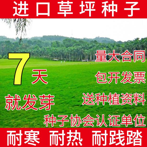 ļƺNӡéݡ̡`̤ͥԺo²