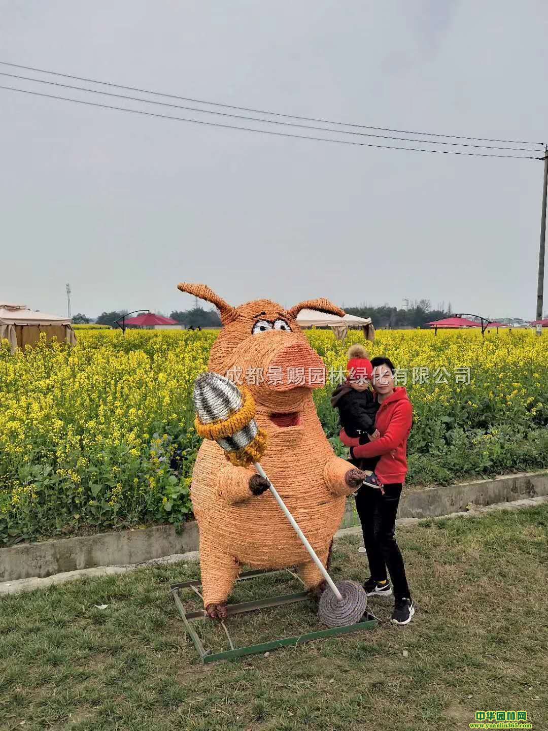 cSյ˵ϲcgc赾˵