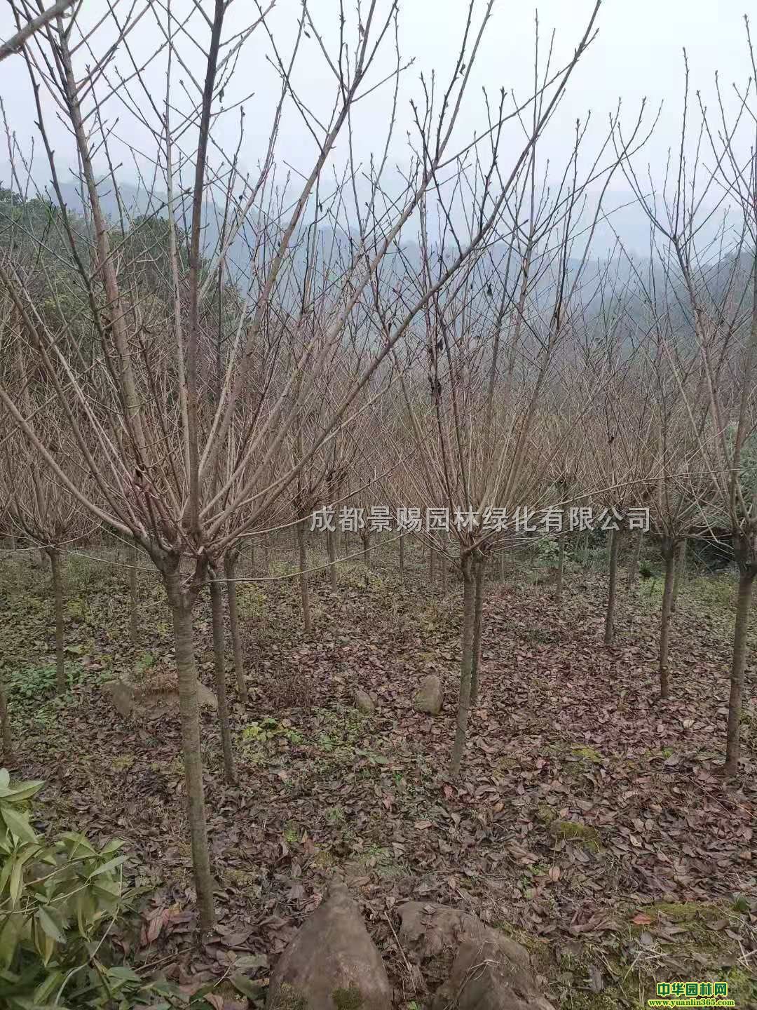 5-6֙ѻԮaNѻØlr