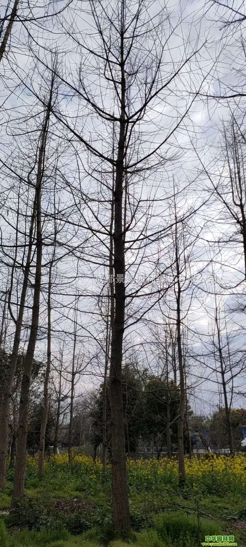 25-26yl(f)r(ji)yӻֱ