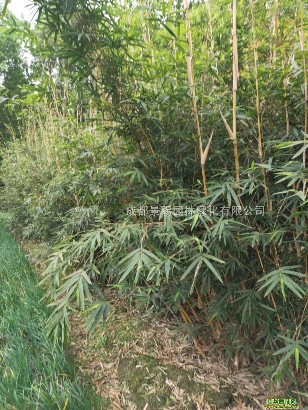 1.8-2׸ٽzԮa(chn)Nٽzr