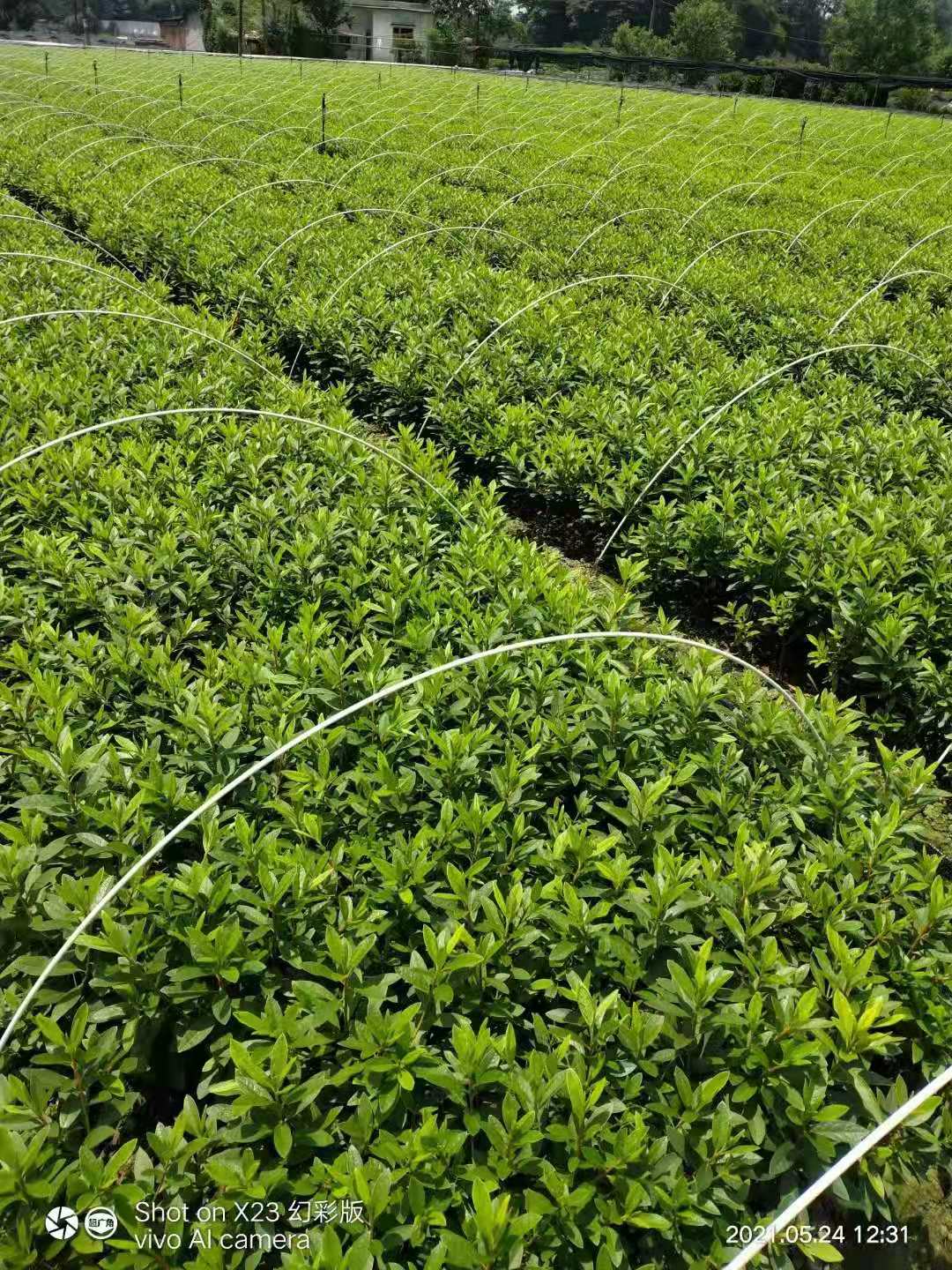 ëNNֲԮa(chn)N(xio)ëNl(f)