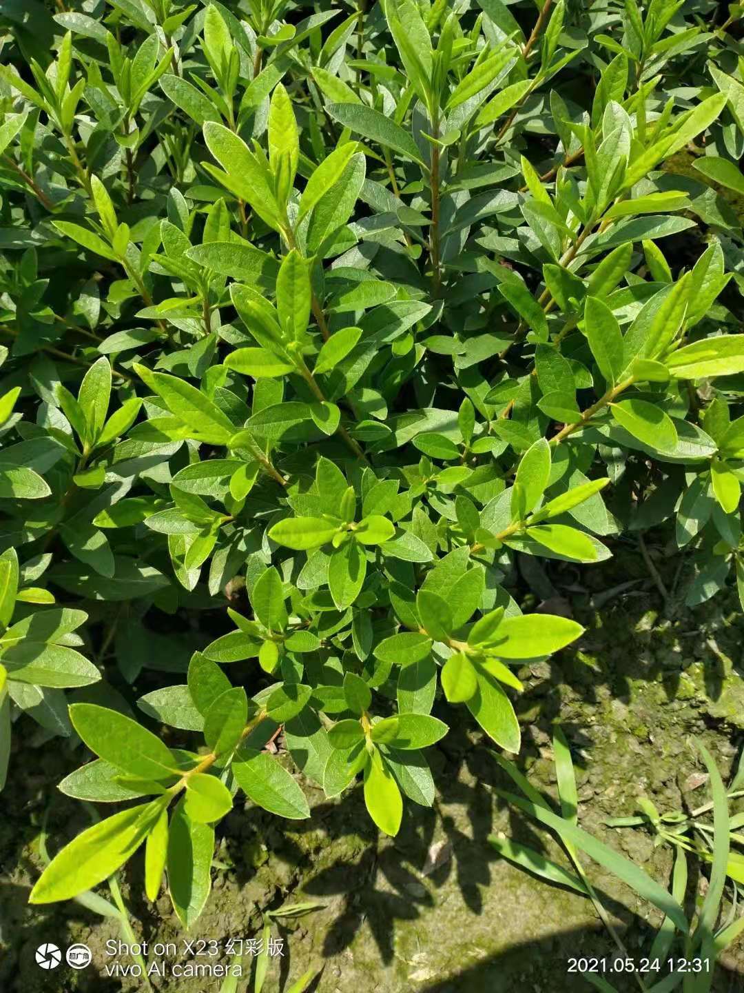 ëN繤l(f)r(ji)ëNl(f)