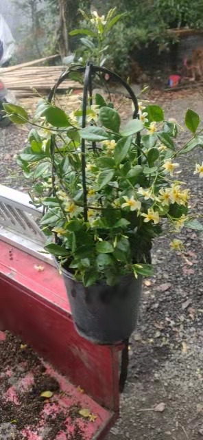 L(fng)܇l(f)r(ji)(yu)ݡL(fng)܇l(f)