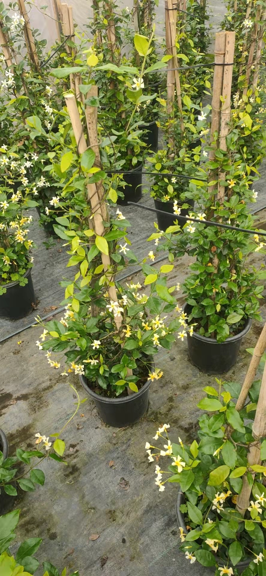 1-1.2׸L(fng)܇(ch)򹤳l(f)r(ji)