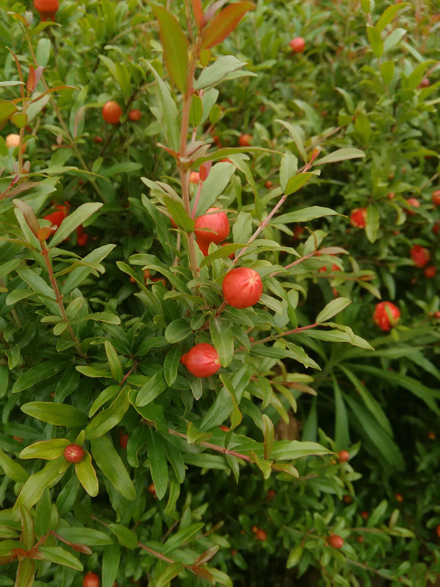 ɽ|̩ľ1̩ɽtʯ硢1ʯС̓rl