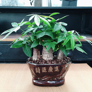 K݈@ˇ⻨KݻUKݾGֲU