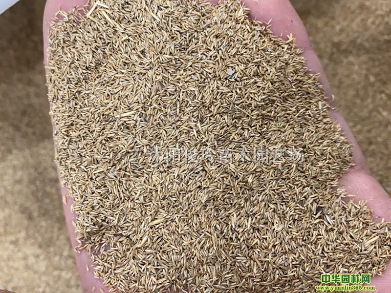 AéݷNӡAéݲƺNӡAéNӡAݷNo²ƺN