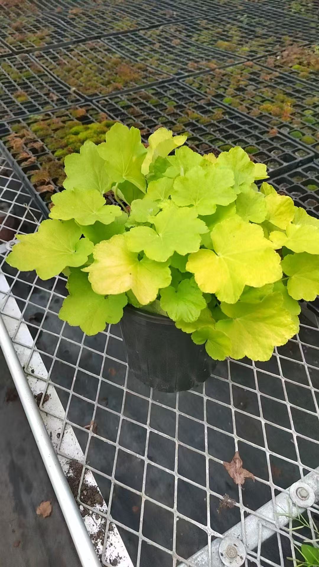 ɫ\\\ݻɫ\ɫ\ݻ