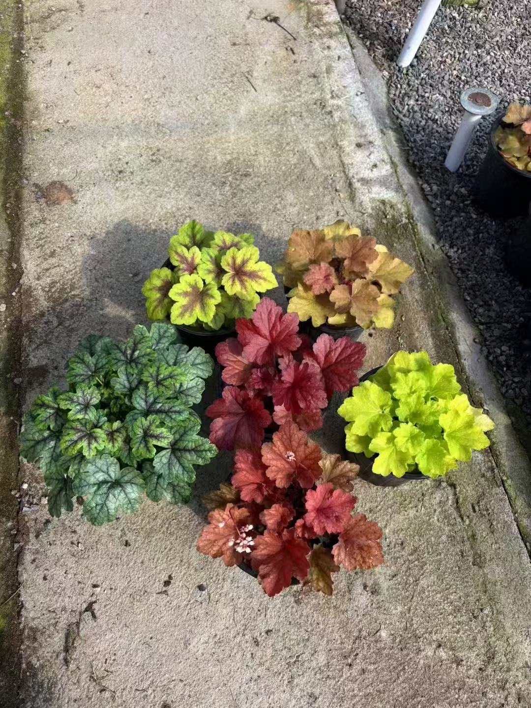 \pɫ\\󱭵\\ݻ