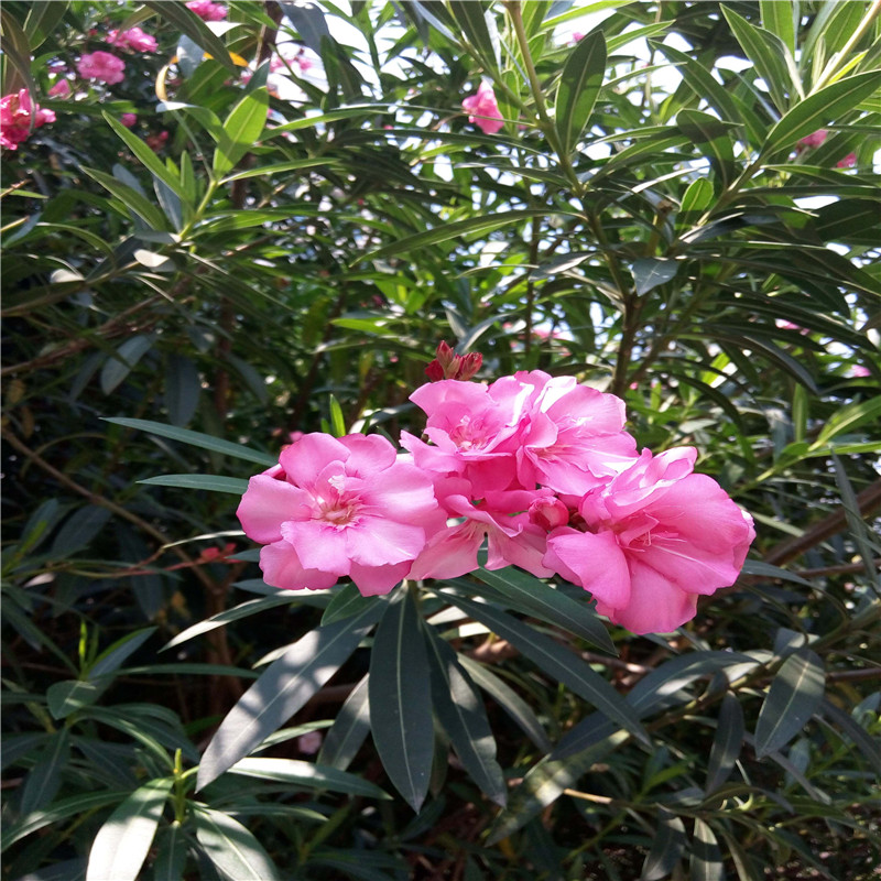 l(f)AҡAҘ硢Ҏ(gu)񡢾Gľ