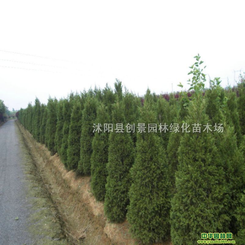 ƽrľ̓rlGľľuA؃ră