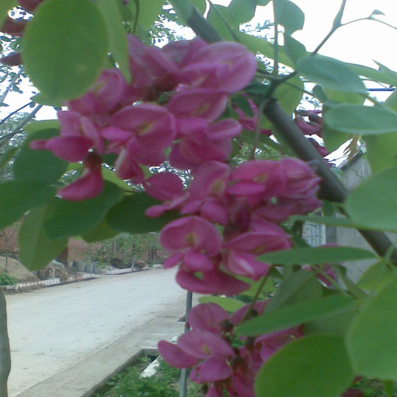 ֱN|ttС硢̈@־Gľr񃞻