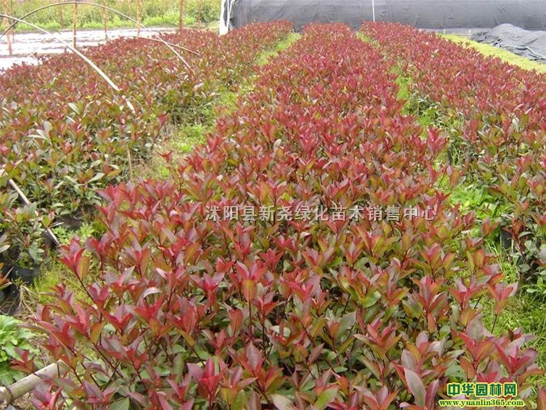 t~ʯ骵硢t~ʯ骱硢t~ʯ骻