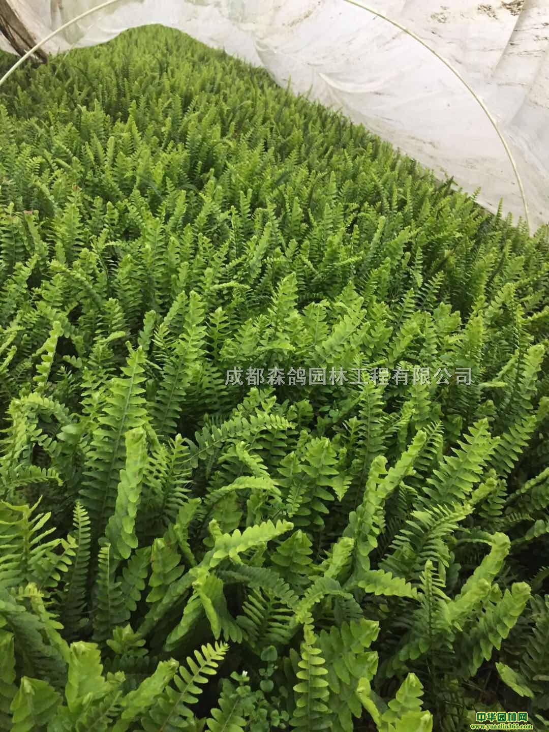 Iާ硢ɶIާNֲء30ָIާ