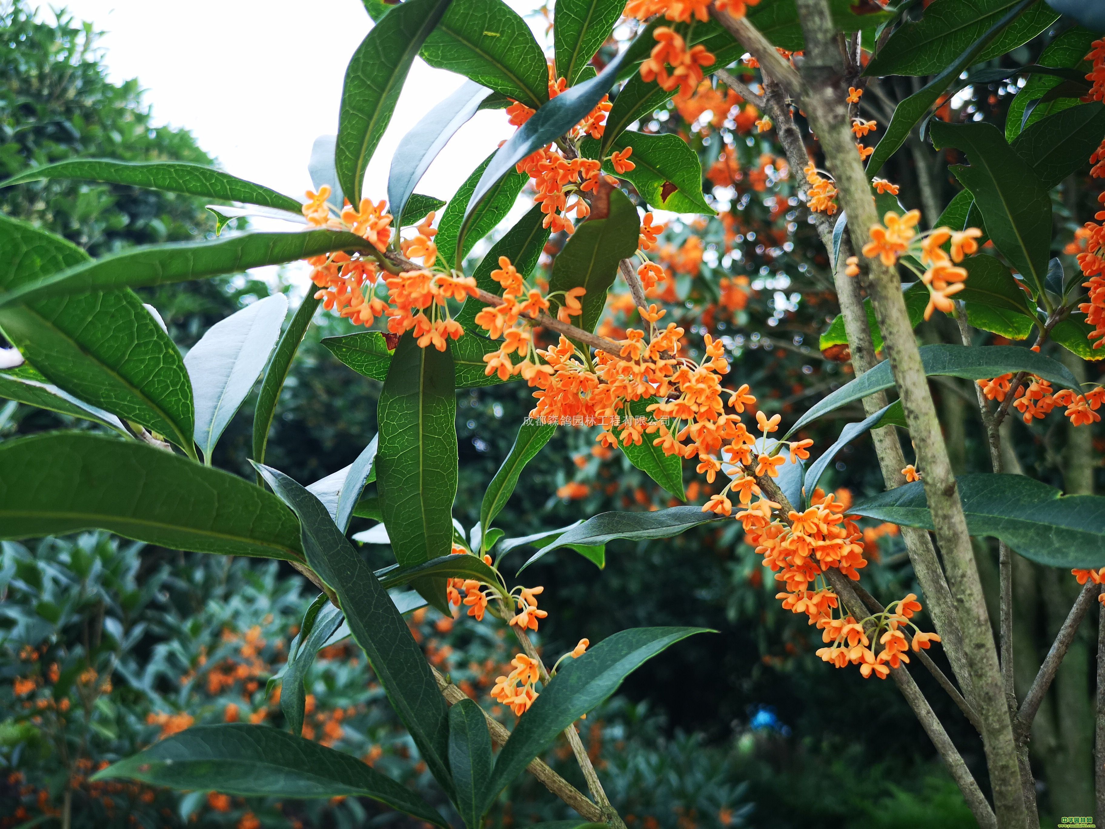 Ĵءõ𹤳硢10ֵb܇(sh)