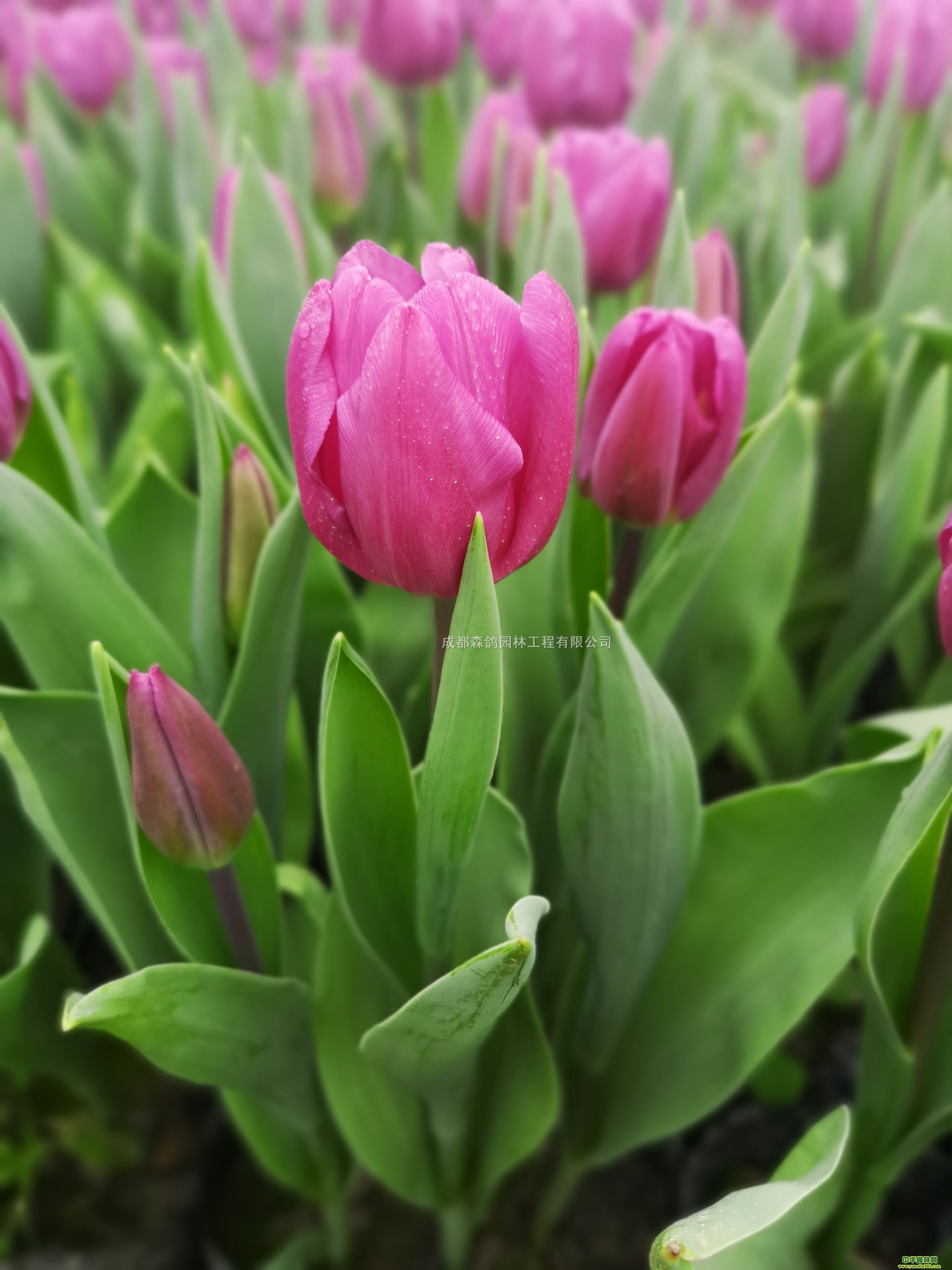 õtɫ㱭硢30-4ءɶlr