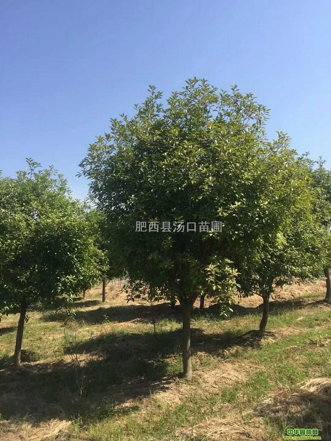 U7ּt~ʯ骘䡢9ּt~ʯ骘