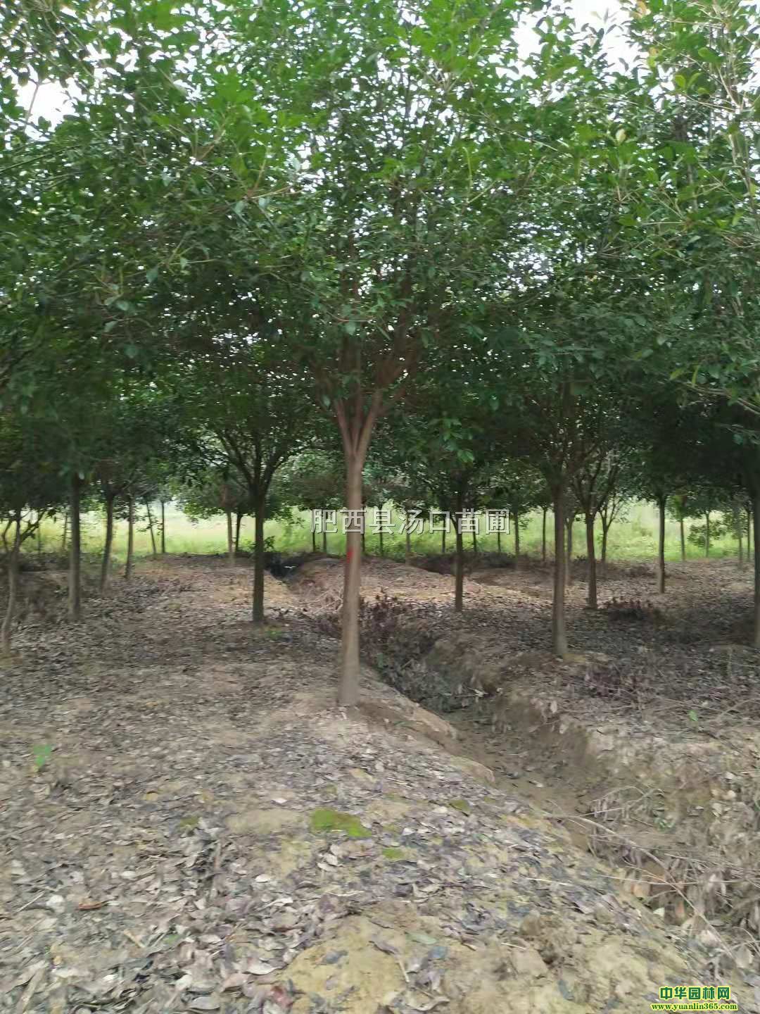 U؏8ּt~ʯ骘䡢9ּt~ʯ骘