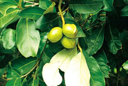 y~䡢ˮSƤʹ~Фȡꡢʘ䡢uާ