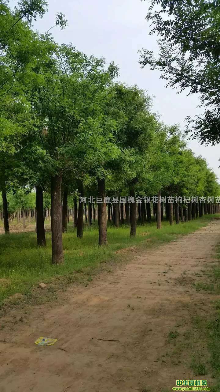 (gu)ӱ¹h(gu)(sh)678910112