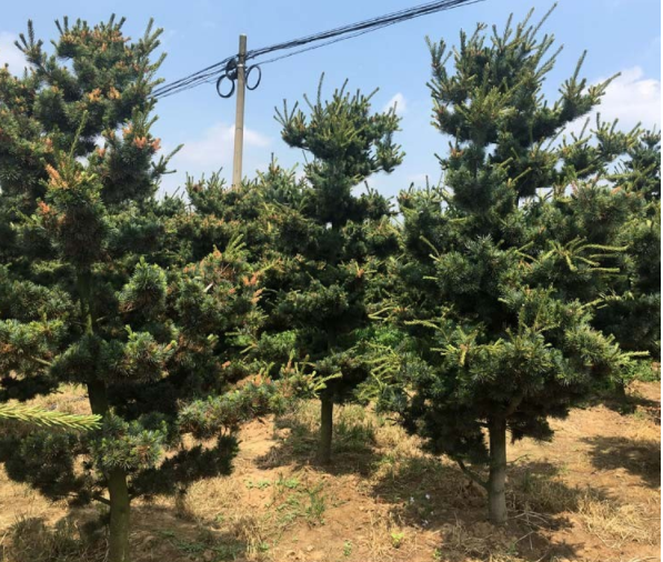 ɻءɃr񡢈DƬľ܎ľ