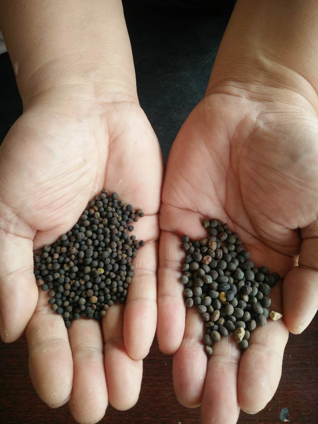 @ëӡЙCGLëҰ㶹Nӿ