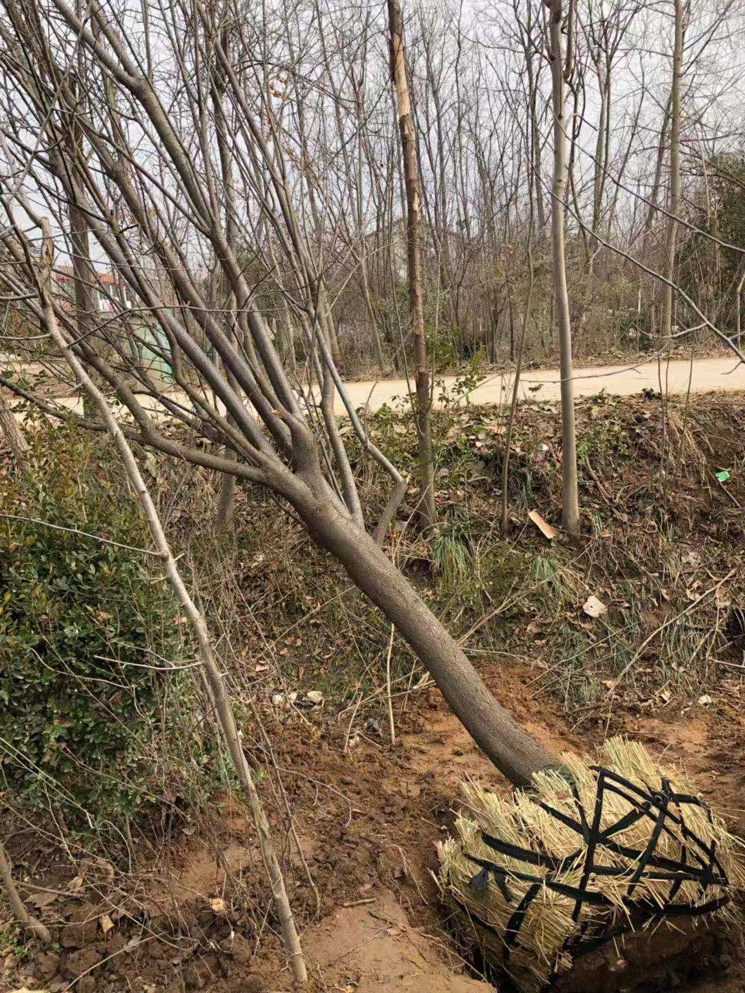 ؏15ֵļt~~|Փr