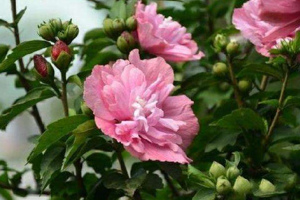 Ҏ(gu)ľȻoFɳĮõ塢ӭĵ