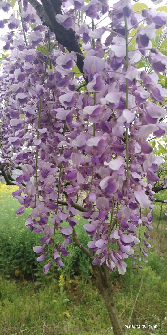 Ԯa(chn)ӭٻƷLٻС籣r