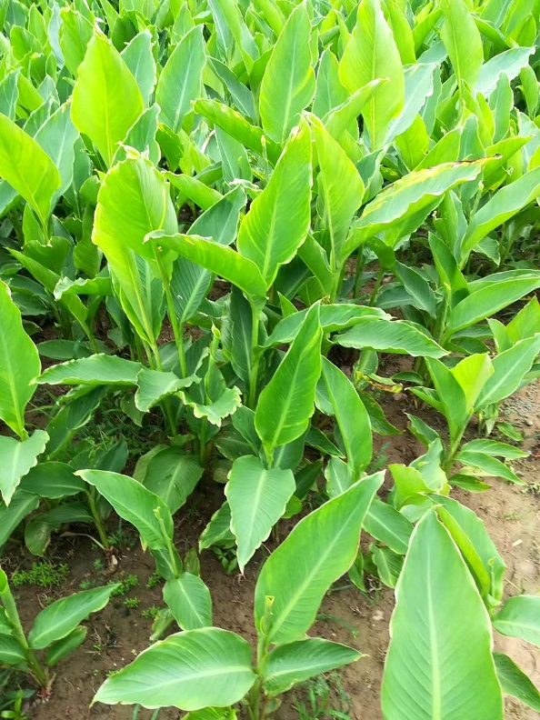 ͺ͝ۻ˽ˮ˽NӡN硢f