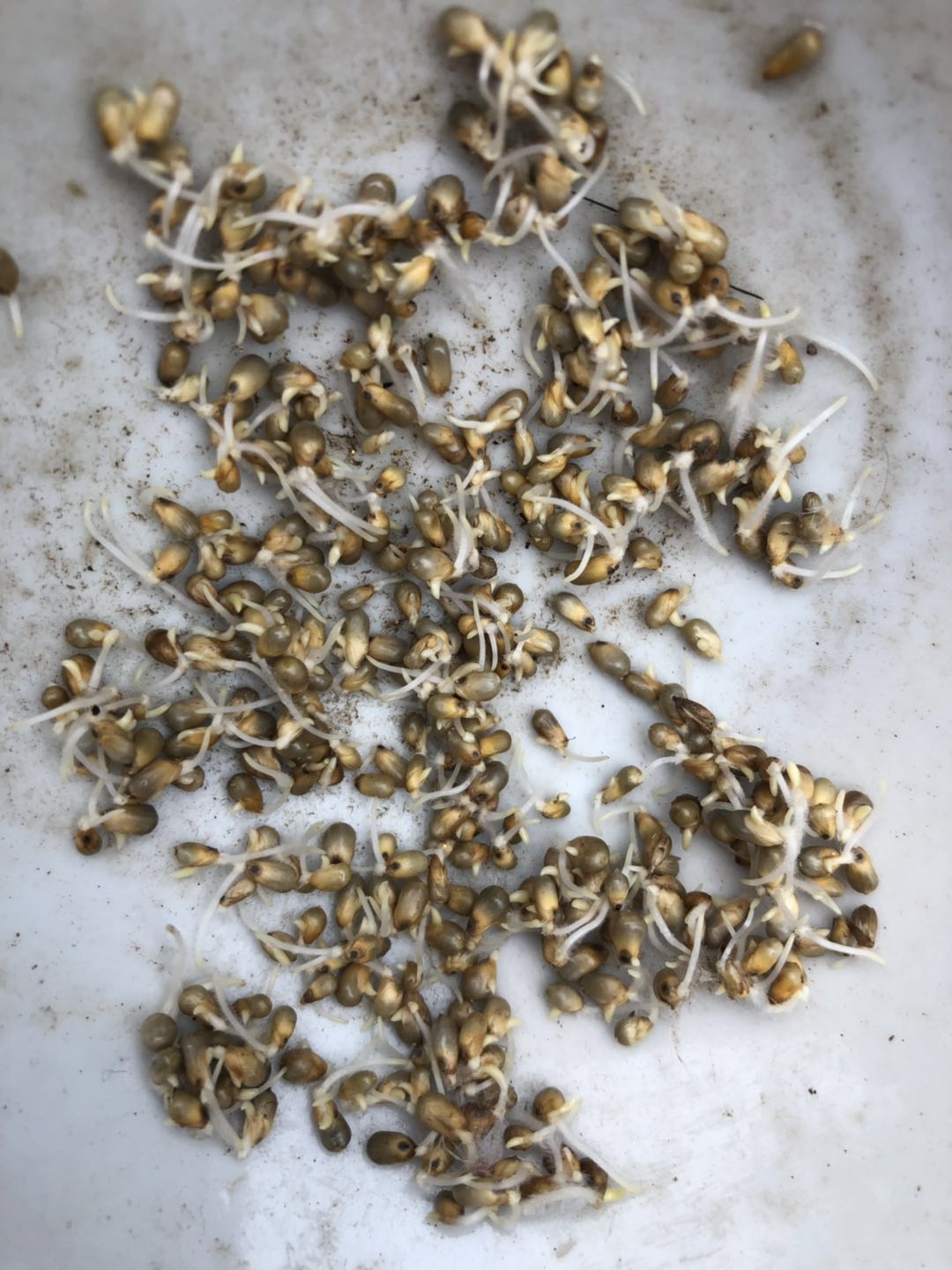 βݡβݡ^pβݡNӷN硢f