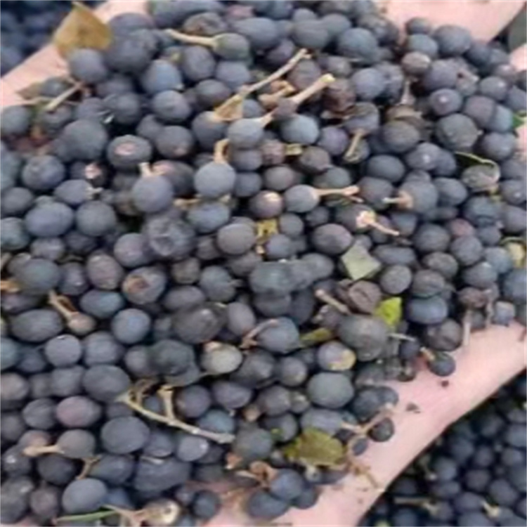 ļ~ŮؑС~ŮؑNӷNk\