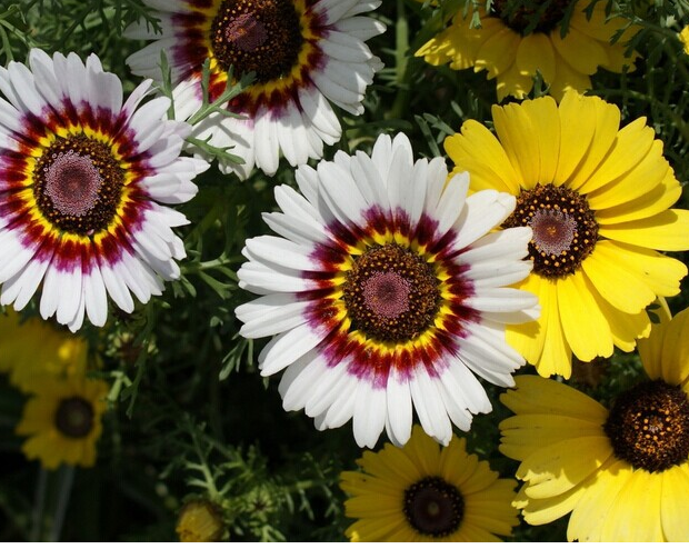 ʽӻhաĿա߱޾աշNӵȰ]