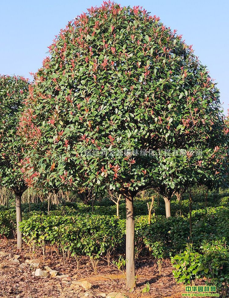 ߗUt~ʯ骘䡢ߗUt~ʯС绨ľ