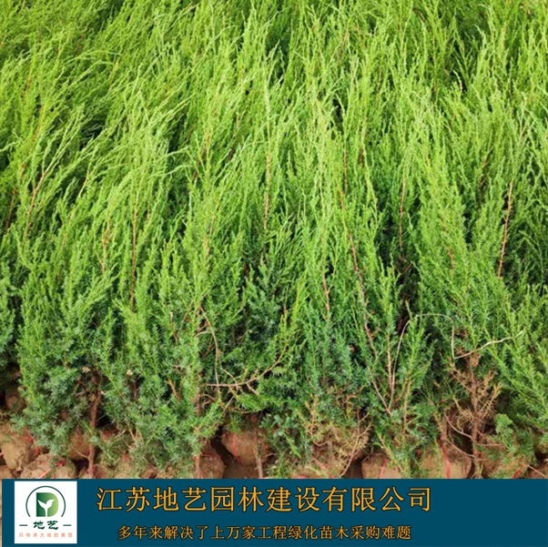 (yng)uءu؈DƬuطNֲ