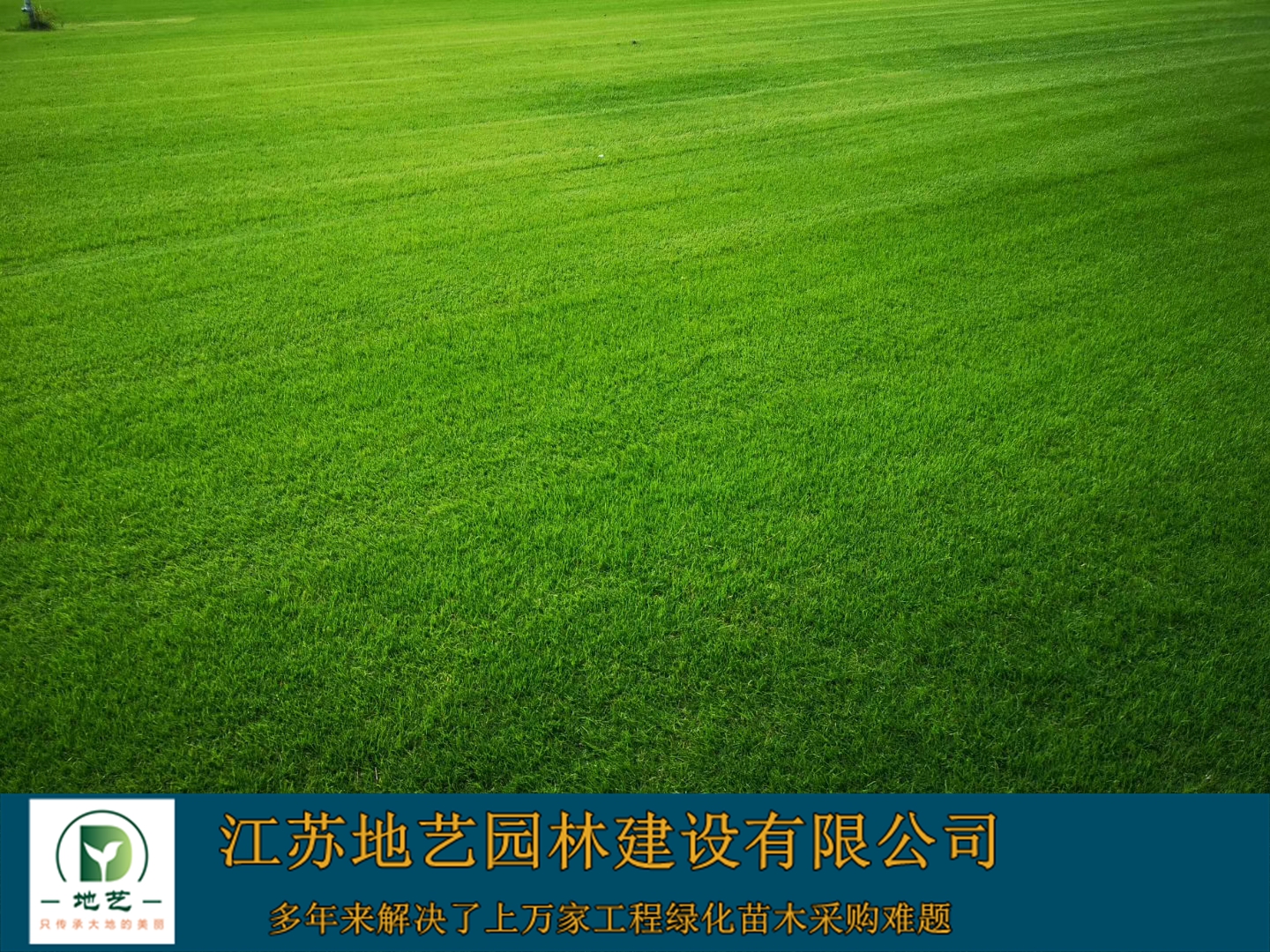 ̲ƺ-̲ƺDƬ-̲ƺNֲ