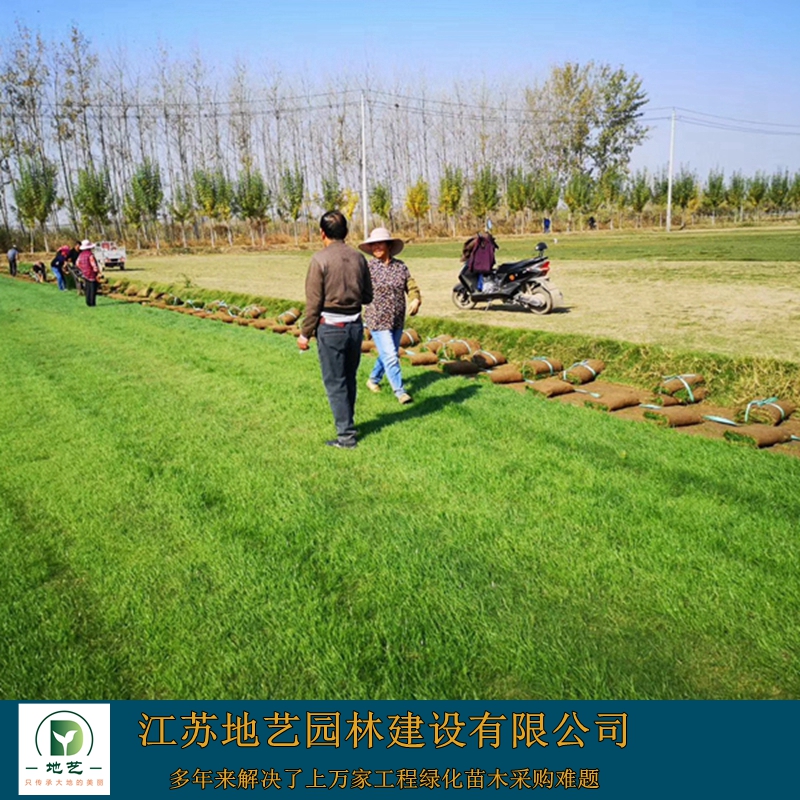 ݲƺ-ݲƺDƬ-ݲƺNֲ