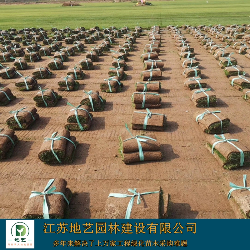 Ľƺ-ĽƺDƬ-ĽƺNֲ